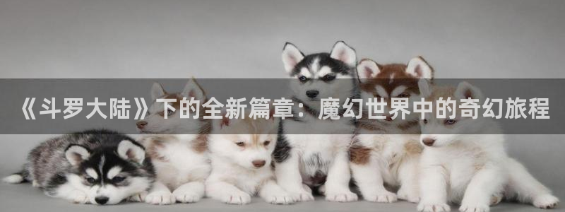 虫虫漫画免费漫画入口在哪里可以找到