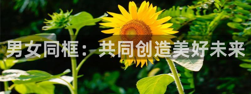 虫虫漫画黄