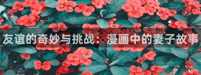虫虫漫画韩