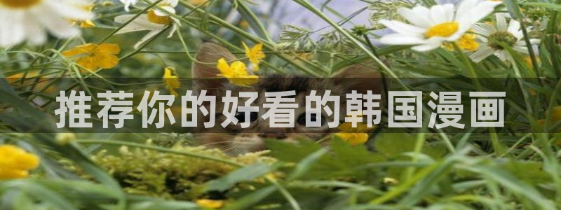 虫虫漫画登录免费入口